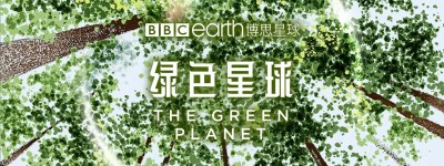 《绿色星球》不为人知的植物世界-2022-英国-剧情-1080p英语中字