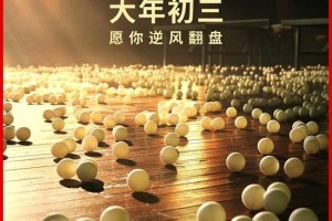 中国乒乓之绝地反击超清1080p完整版下载分享