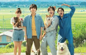 《犬部》对动物保护问题的种种经历-2021-日本-剧情-1080p日语中字