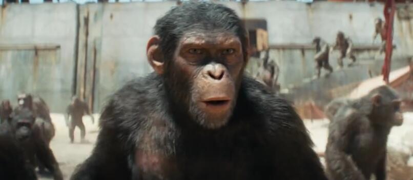《猩球崛起：新世界》内地同步北美上映 故事介绍